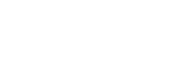 the ambitions foundation